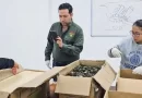 Comercio ilegal de animales: cuál es la pena y cómo afecta al ecosistema