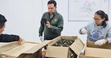 Comercio ilegal de animales: cuál es la pena y cómo afecta al ecosistema