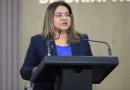 Diputada destaca necesidad de retomar iniciativas pendientes en el Congreso de Chiapas